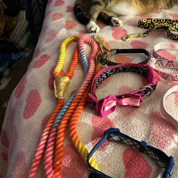 Colorful Dog Leashes Set - Picture 5 of 6